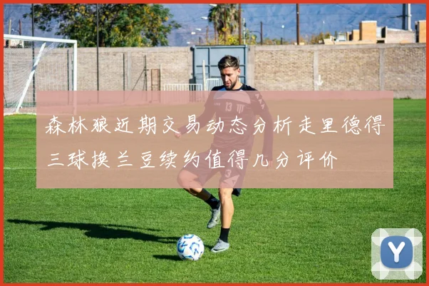 森林狼近期交易动态分析走里德得三球换兰豆续约值得几分评价